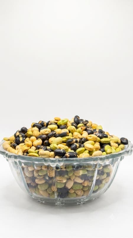 Protein Beans