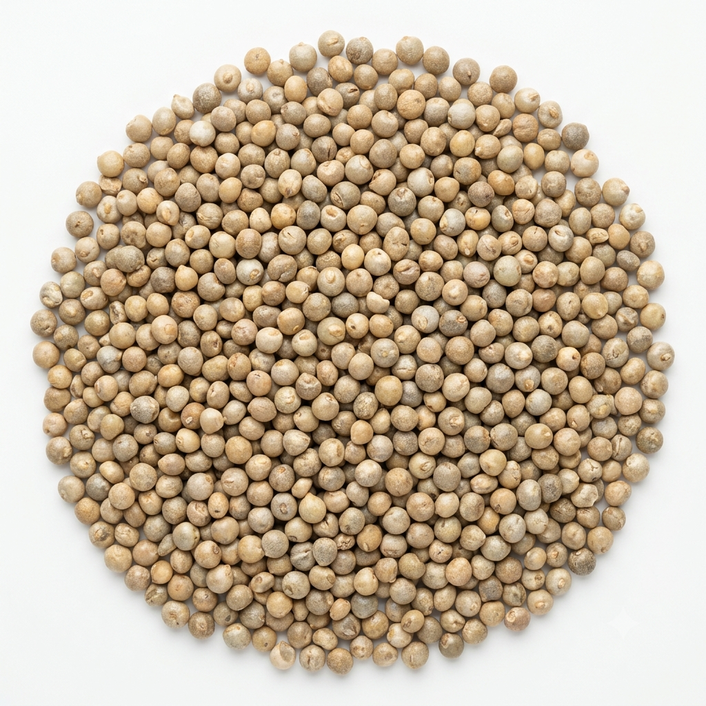 Bajra