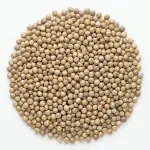 Bajra