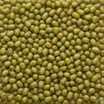 Moong
