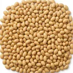 Soya